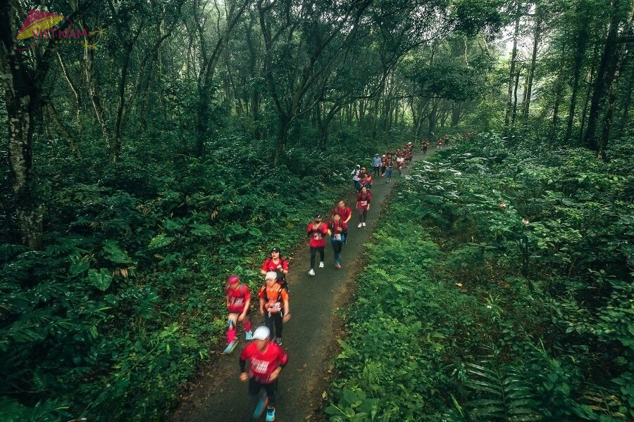 Cuc Phuong National Park