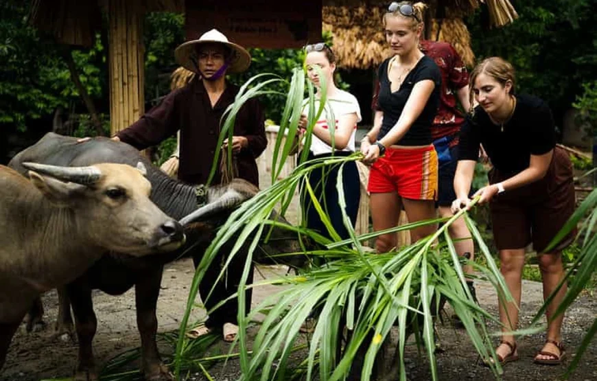 Adventure Ninhbinh daily life
